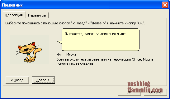 cat_office